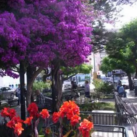 Homestay La Em Cima *